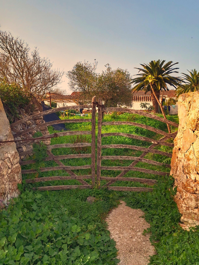 jardin es mercadal