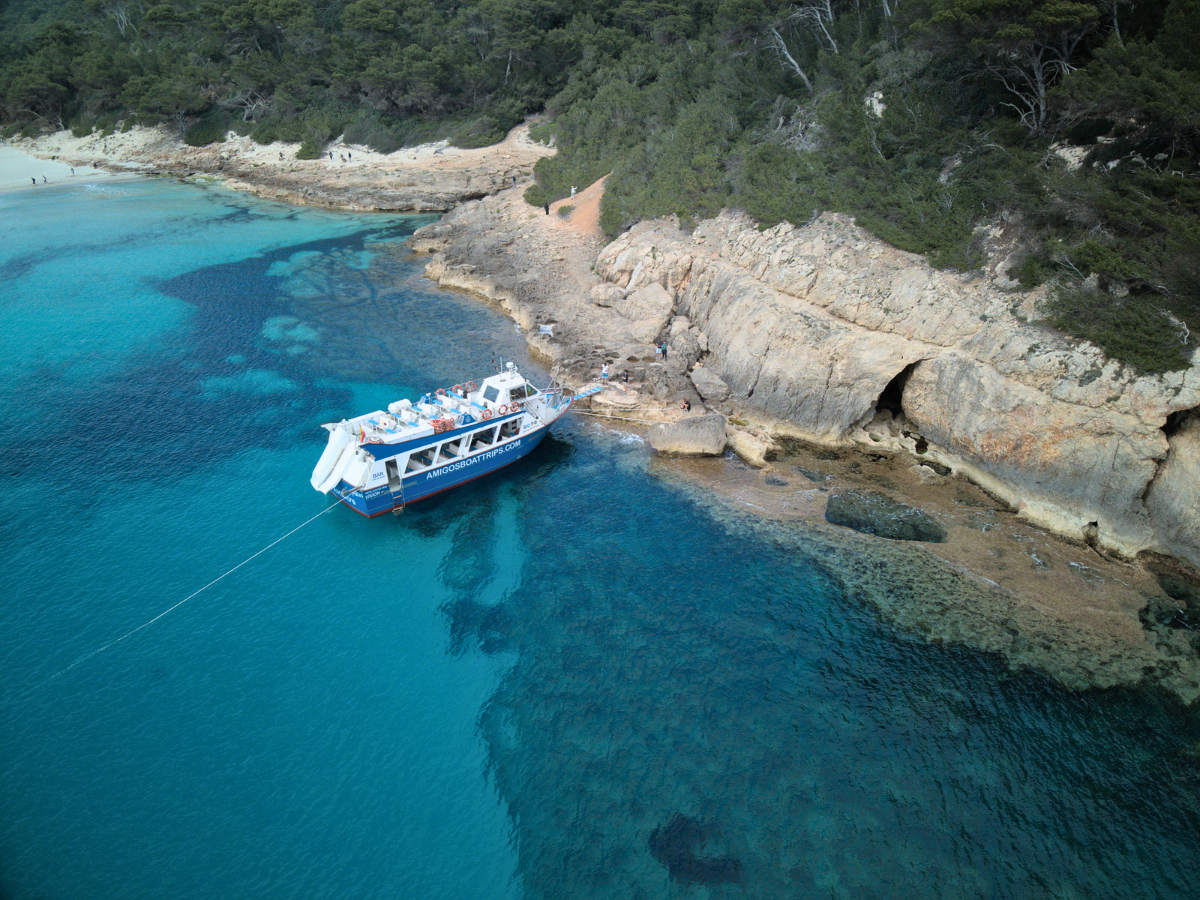 amigos boat trips
