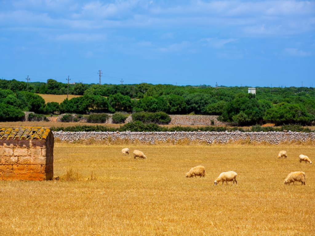 turismo rural en menorca