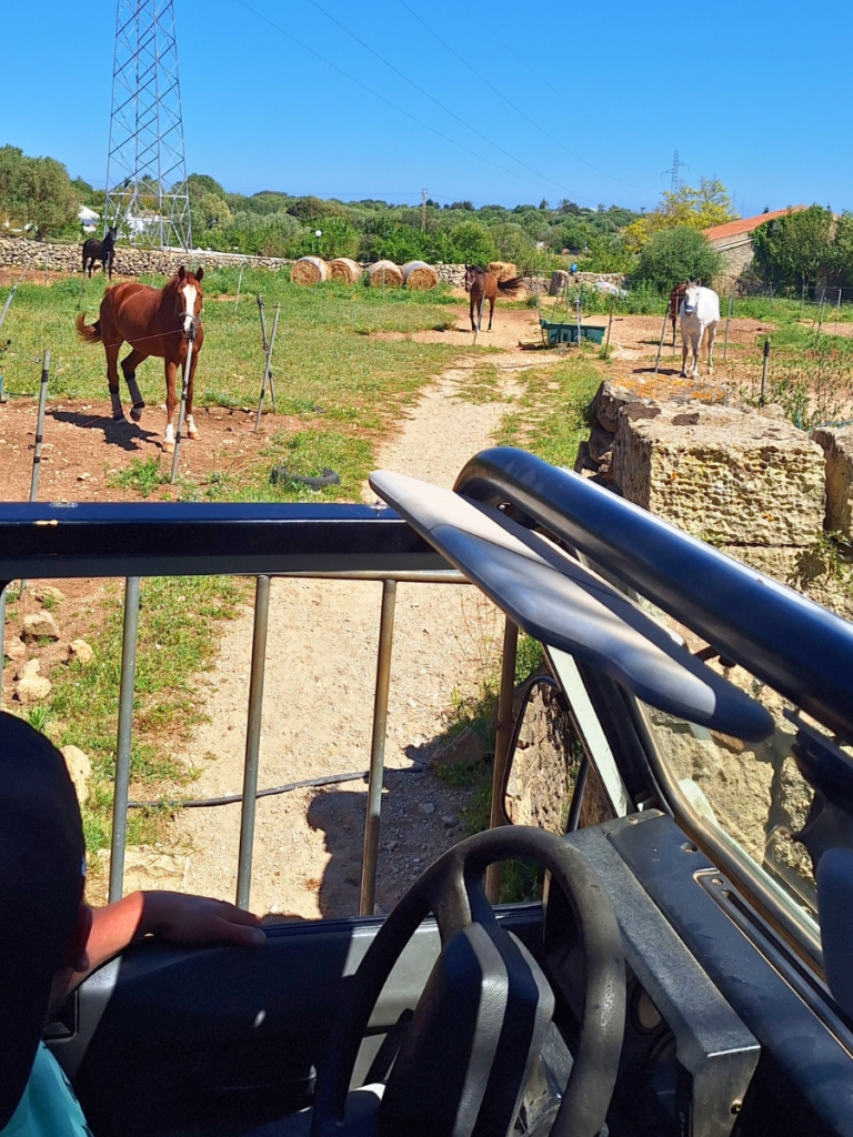 caminos menorca jeep safari