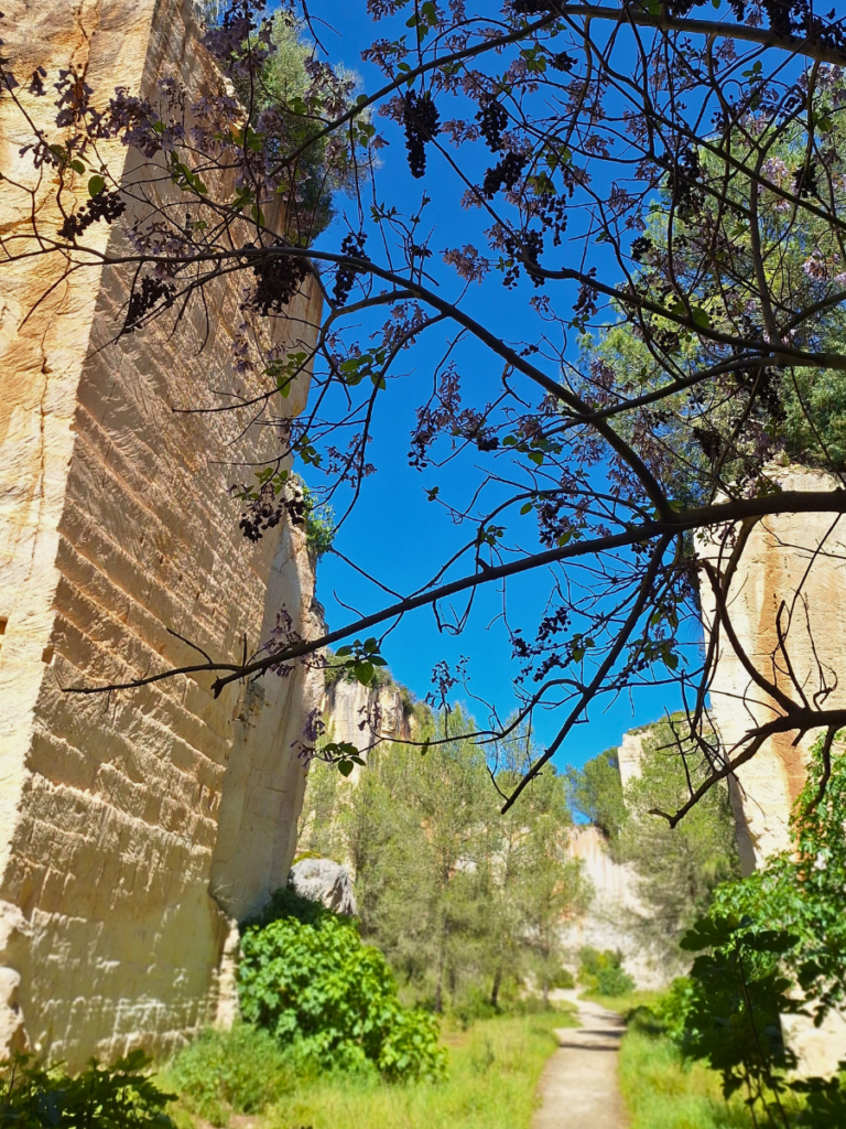 santa ponça