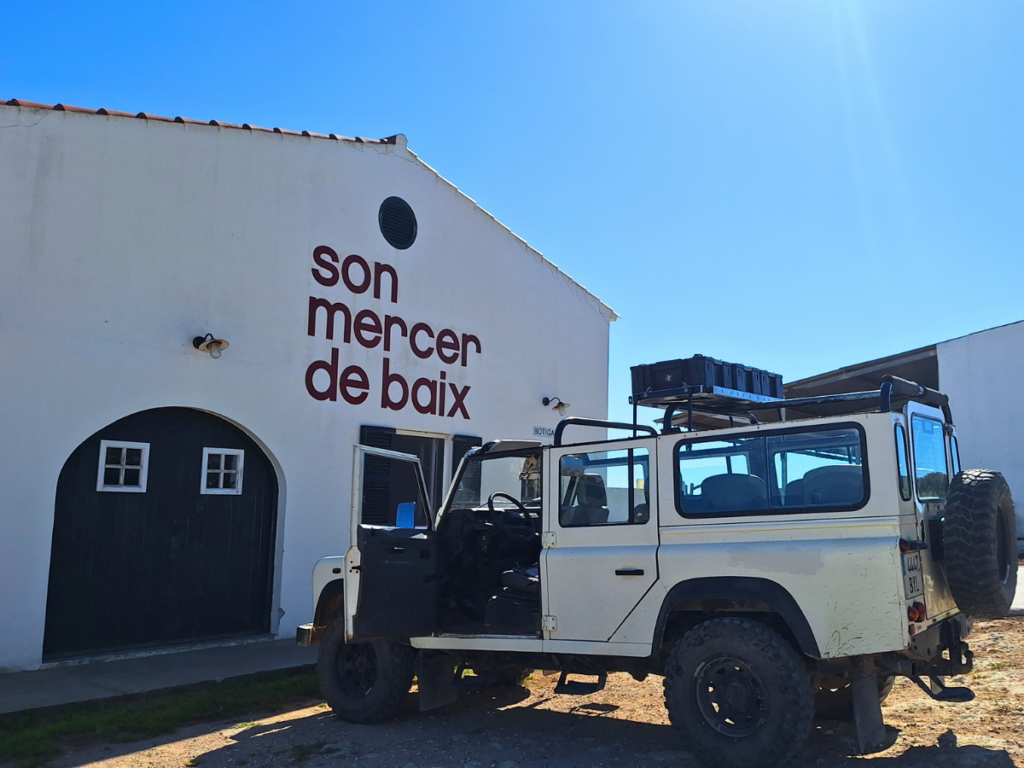 jeep safari