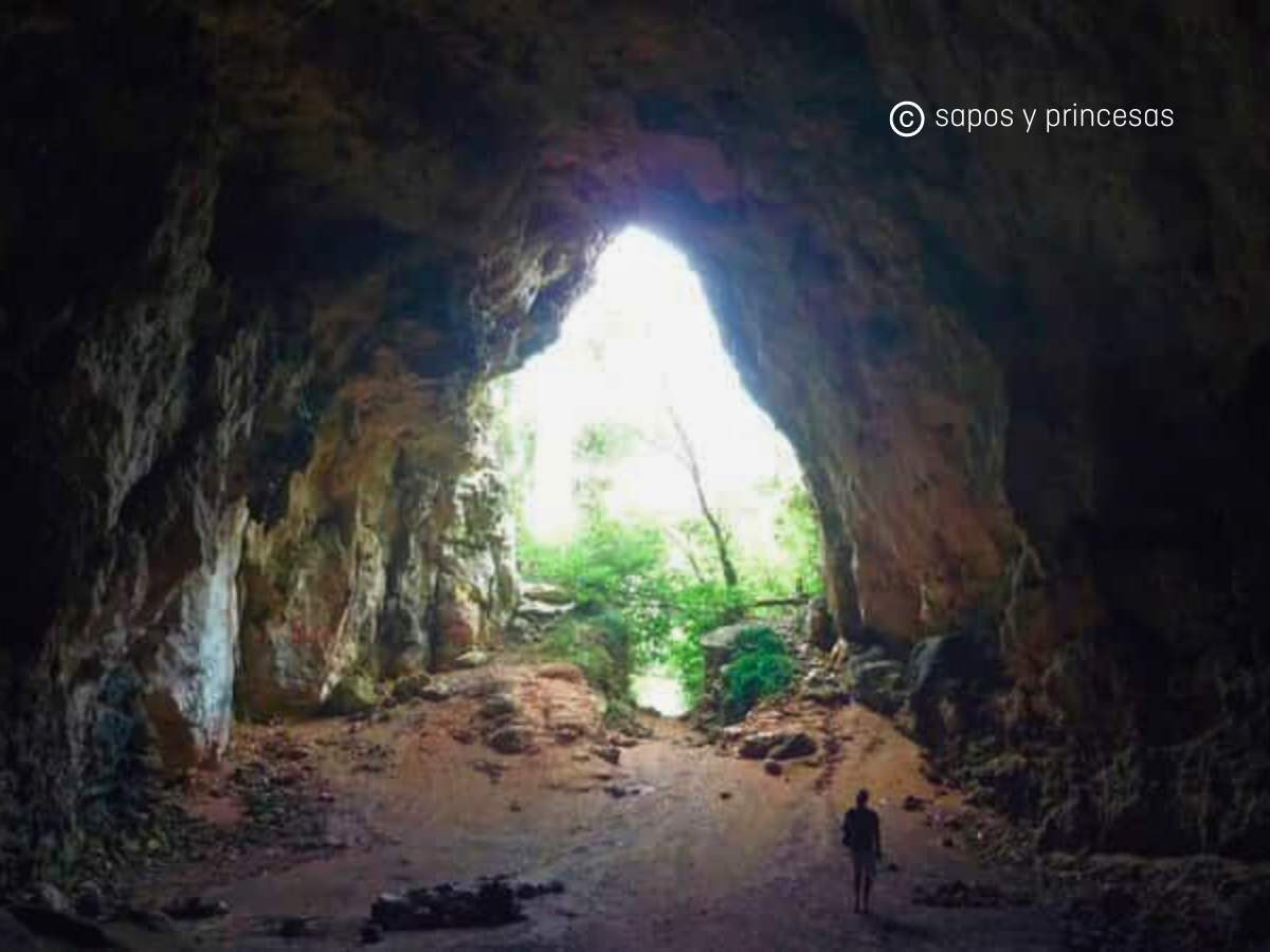 cova des coloms