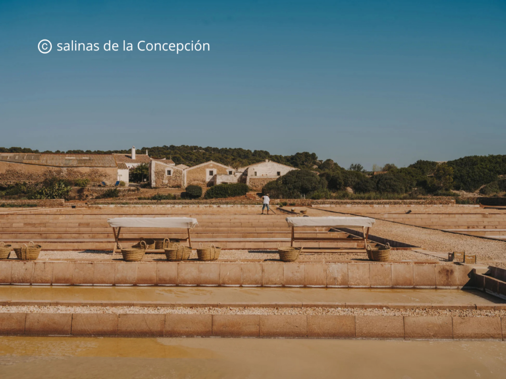 Sal de Menorca