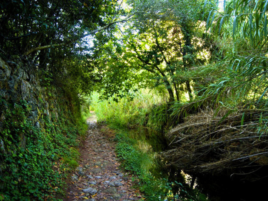 Barranc d'Algendar