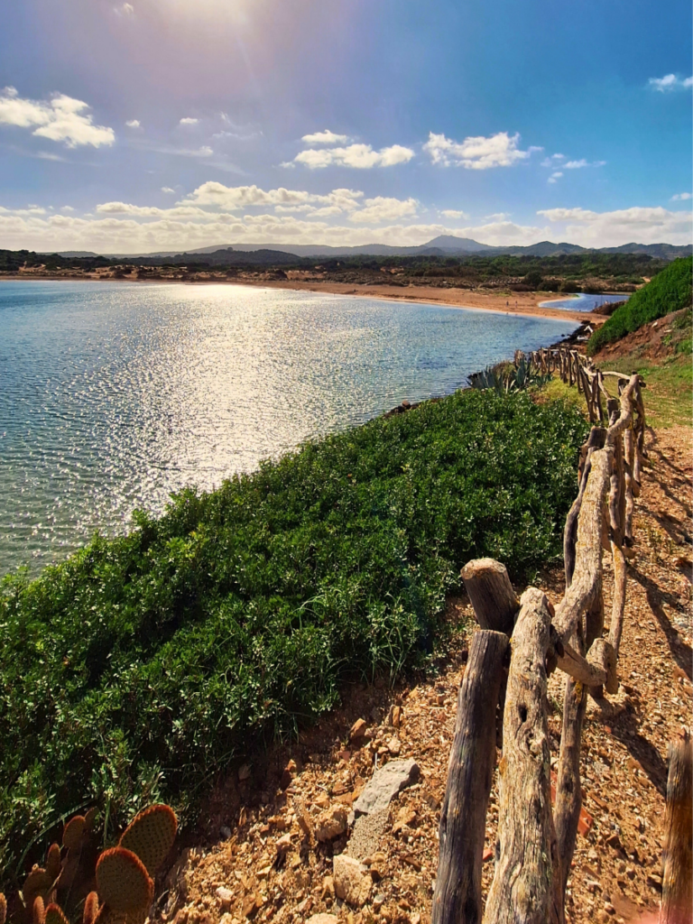 cap de cavalleria