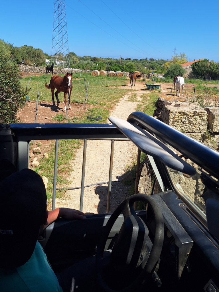 menorca rural