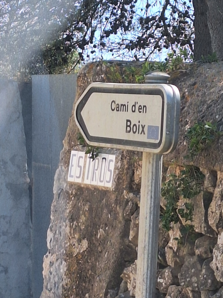 camí d'en boix menorca