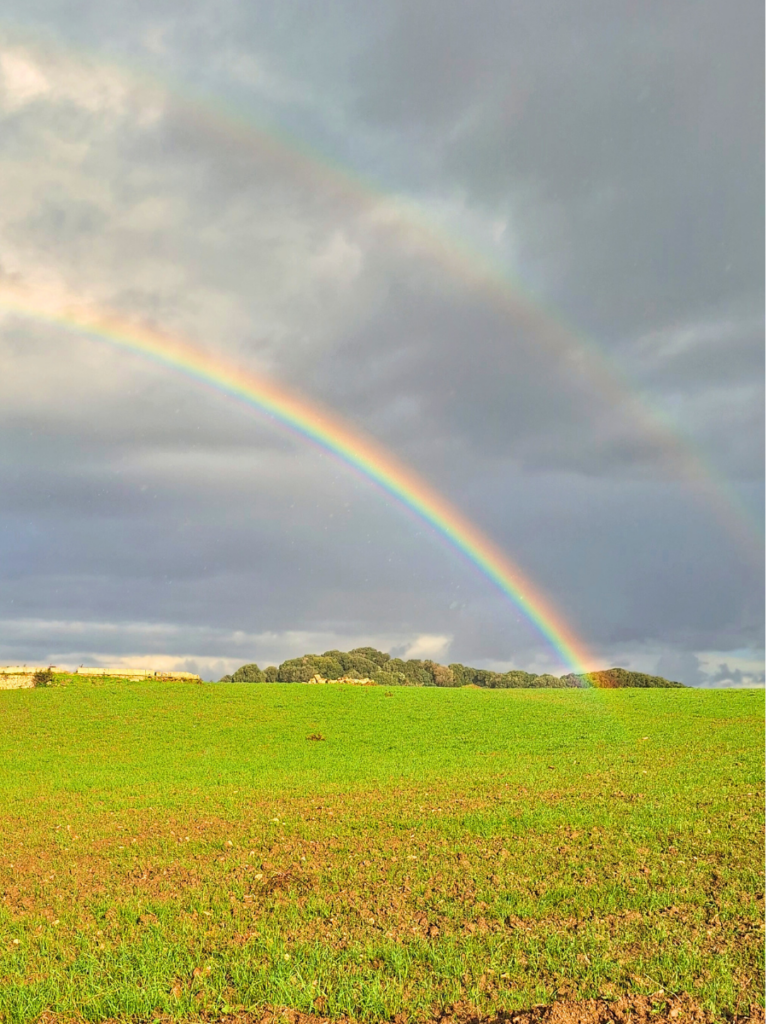 arcoiris menorca