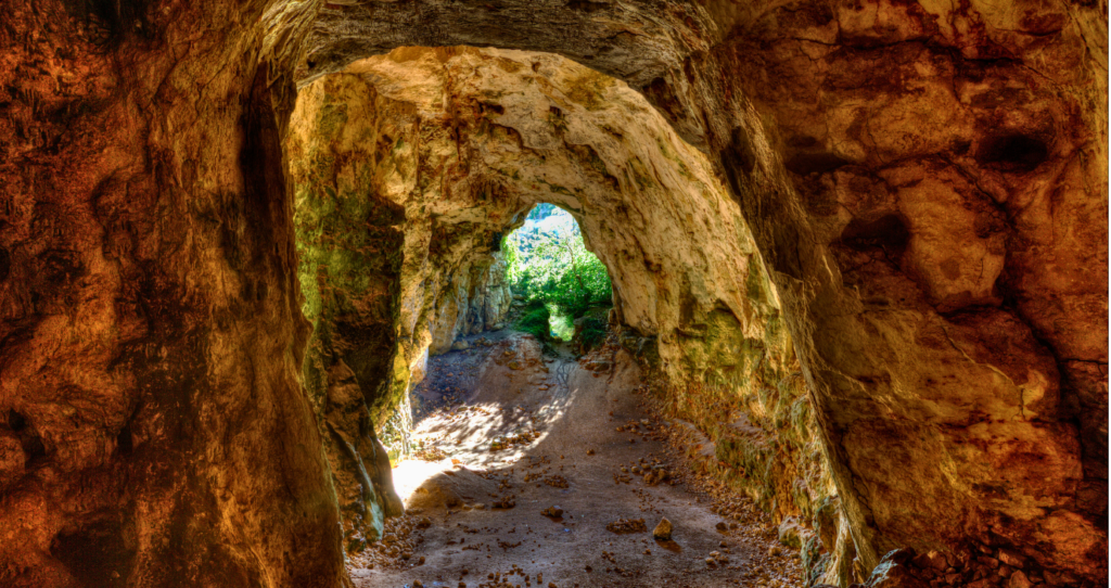cova des coloms